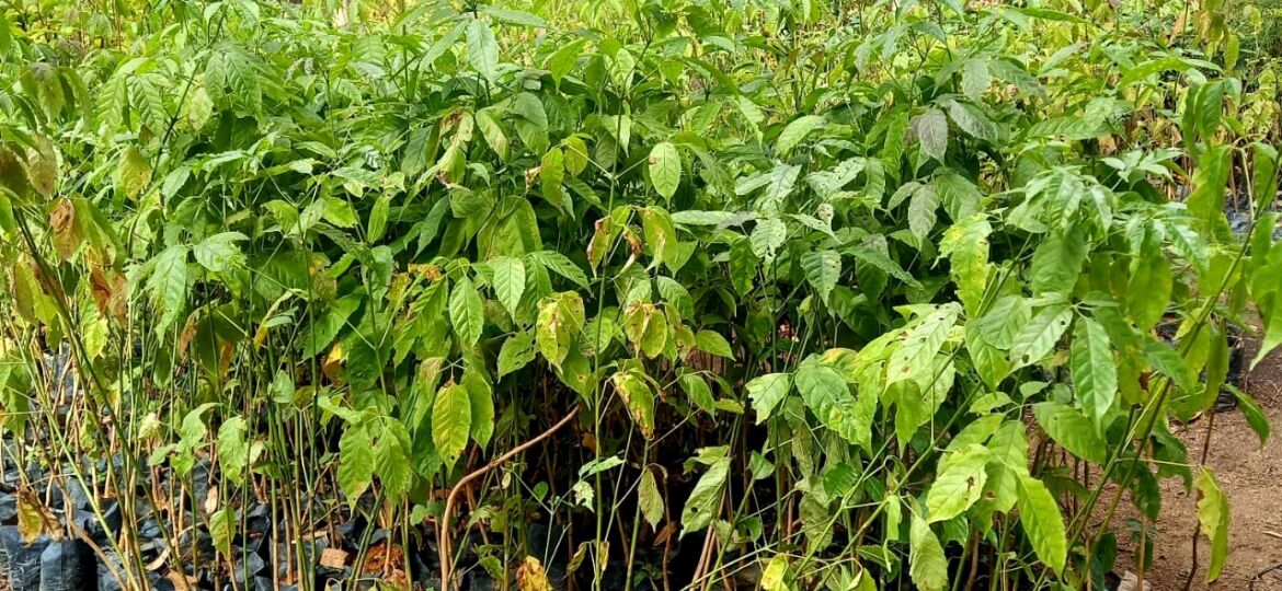 WhatsApp-Image-2021-06-17-at-10.47.32