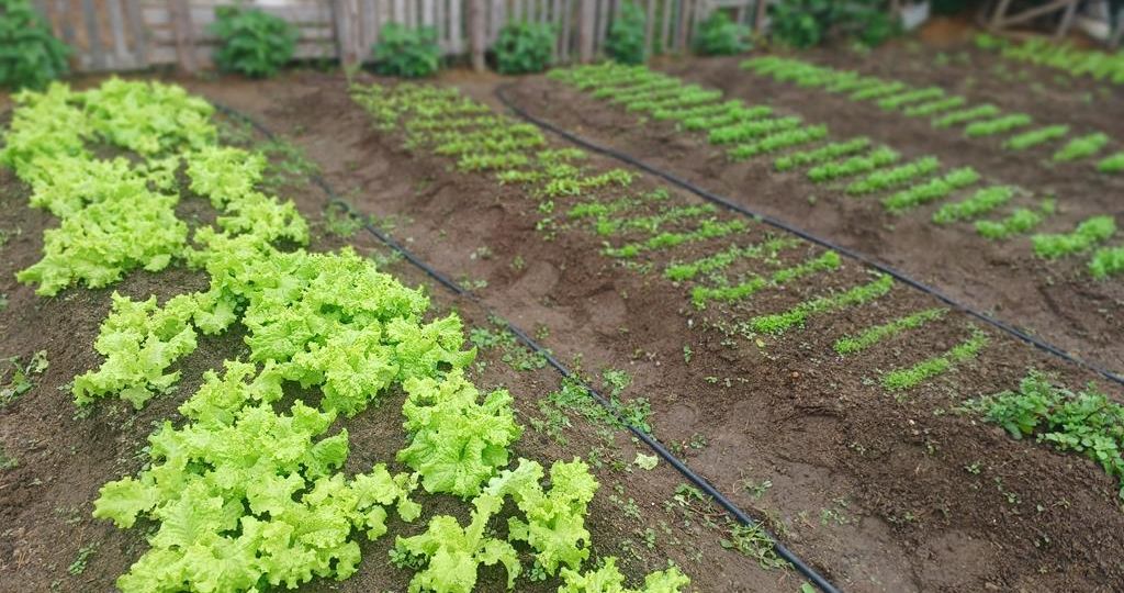 WhatsApp Image 2025-05-30 at 15.18.35 (Copy)