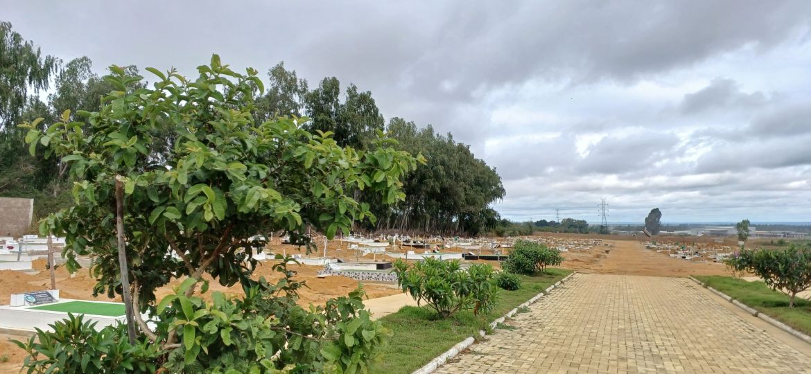 WhatsApp Image 2025-06-18 at 11.12.21