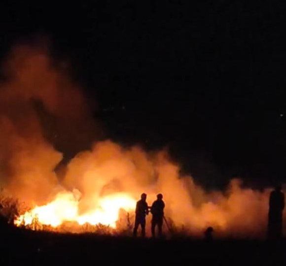 WhatsApp Image 2025-07-28 at 15.38.51