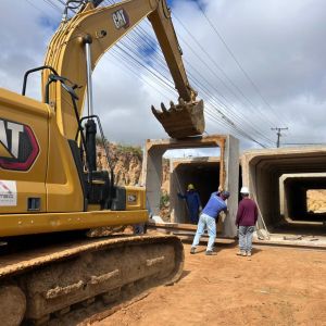 WhatsApp Image 2026-02-12 at 12.59.34